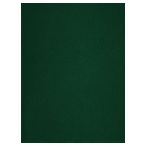 Тетрадь 48л., А4 клетка BG, бумвинил, зеленый