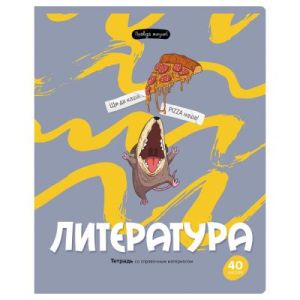 Тетрадь предметная 40л. BG «Правда жизни» - Литература