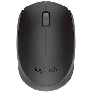 Мышь беспроводная Logitech M171 черный