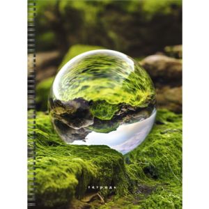 Тетрадь для конспектов А4, 80л.Евроспираль. Линия.«Мои идеи»