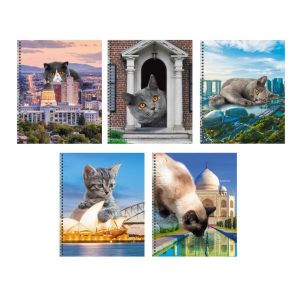 Тетрадь А5 60л. Гребень. Линия. «Коты в городе!»