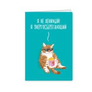 Обложка для паспорта «Ленивый Кот»,ПВХ 189*135мм
