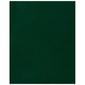 Тетрадь 96л., А4 клетка BG, бумвинил, зеленый, суперэконом