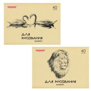 Альбом 40 л горизонт Стафф 126962