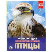 Птицы. (Энциклопедия А4 с развивающими заданиями). Формат: 197х255 мм. 48 стр. Умка в кор.15шт