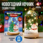 ШКОЛА ТАЛАНТОВ Набор для творчества Новогодний ночник с игрушкой, дед Мороз   7729885