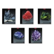 Тетрадь общая ученическая ErichKrause Энциклопедия, Минералы, 48 листов, клетка_MIX-PACK