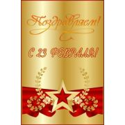 П23,172+к 23 Февраля! С Днем защитника Отечества!