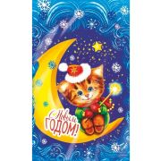 Пакет подарочный  Котенок-волшебник 20*35, ВОРР пр20  ПИ-4552